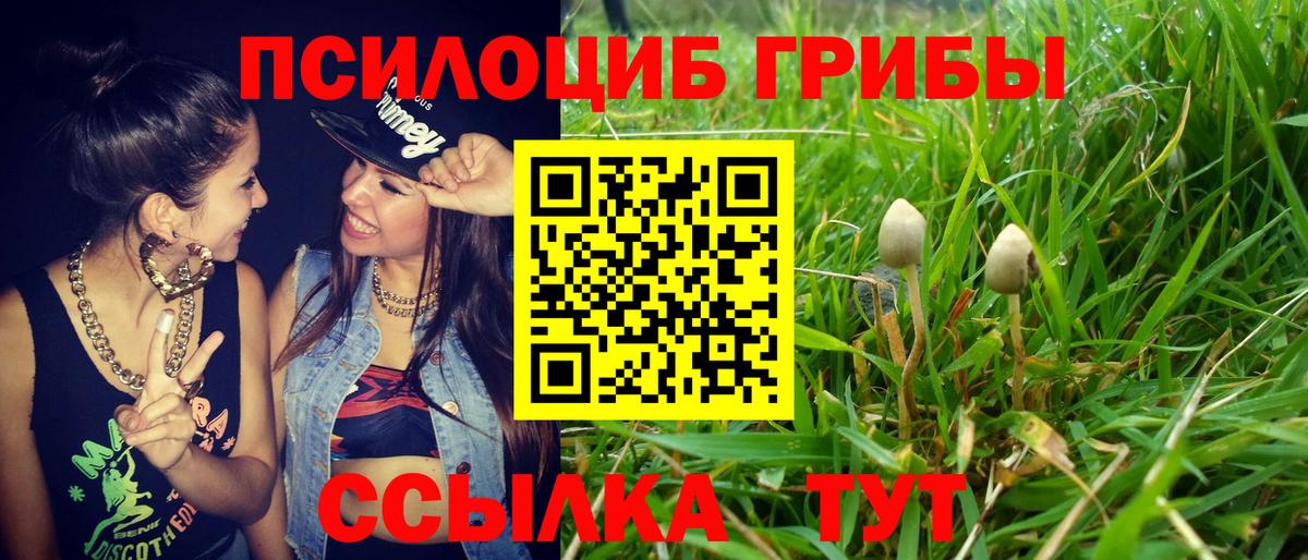 Галлюциногенные грибы ЛСД  Вход с VPN  Полевской 