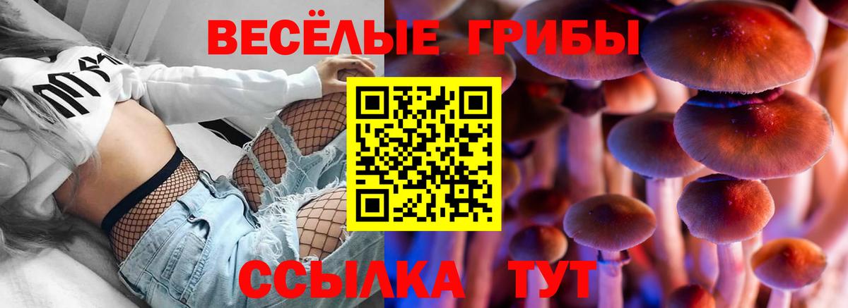 Галлюциногенные грибы GOLDEN TEACHER Полевской